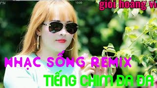 Nhạc sống remix Tiếng chim Đa Đa nét căng [upl. by Xella436]