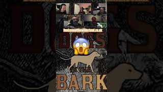 Satirical Dogs denizens dogsinthebark bladesinthedark ttrpgfamily dogs [upl. by Nodanrb]