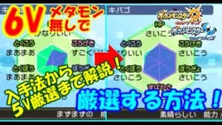 【ポケモンUSUM】６Vメタモン無しで個体値厳選の方法！厳選用メタモン入手から，個体値厳選まで！仲間連鎖 メタモン5 あかいいとの効果解説までこの動画で解説しています [upl. by Genvieve692]