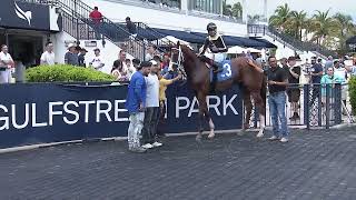 Gulfstream Park Replay Show  October 12 2024 [upl. by Curr78]