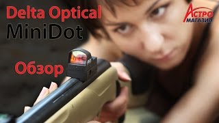 Обзор коллиматорного прицела Delta Optical MiniDot [upl. by Aihsenak]