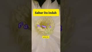 Sabar itu indah motivasi shortvideo D2DTVD [upl. by Eillil]