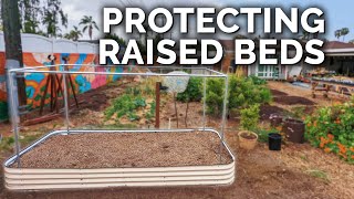 How to Perfectly PestProof a Raised Bed [upl. by Channing685]