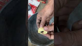 carburetor Over ka masala hall Karen 💯✅ Ustad Asmat foryou youtube [upl. by Castillo544]