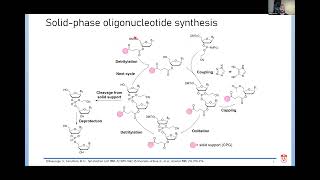 Towards Developing Greener Methods for Oligonucleotide Synthesis [upl. by Aloiv]