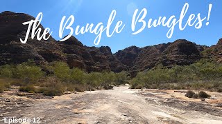 THE BUNGLE BUNGLES ALMOST DESTROYED OUR CAR [upl. by Alyworth]