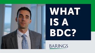 What is a BDC [upl. by Lulita]