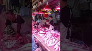 fresh Fish display at Hong kong wet Market fish Market shorts [upl. by Annairb628]