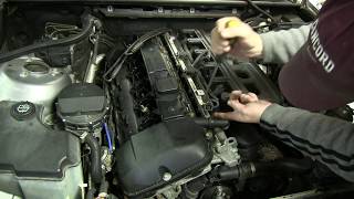 Fuel Injector Removal Part 4  BMW 2004 325XI Engine Rebuild [upl. by Yesoj786]