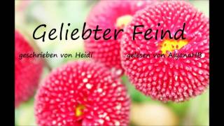 Geliebter Feind FF  Kapitel 28 von Heidi gelesen von AiyanaHB [upl. by Stamata]