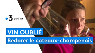 Viticulture  redécouvrir le coteauxchampenois un vin méconnu parfois méprisé [upl. by Bazar]