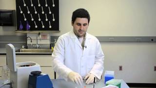 Second Step in DNA Extraction Tutorial [upl. by Marler689]