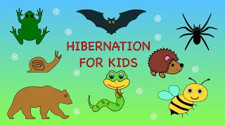 Hibernation for kids  Animals that hibernate [upl. by Harden]