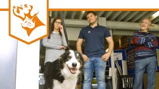 Einfach Hund Folge 11 Hund und Büro  Zusammen im Arbeitsalltag  VetConcept [upl. by Eeldivad]