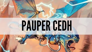 How Powerful Is Pauper CEDH  Pauper CEDH Gameplay [upl. by Aleit11]