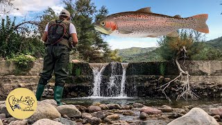 TROUT fishing  SPINNING nei TORRENTI della SICILIA [upl. by Rialc]