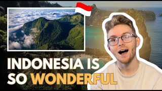 I NEED TO VISIT  Wonderland Indonesia 2024 REACTION [upl. by Uehttam]