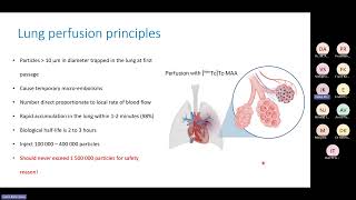 Lecture 10 Lung ventilation and perfusion [upl. by Epilif]