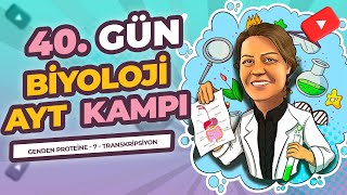 AYT KAMPI  12 SINIF  40 GÜN  GENDEN PROTEİNE  7 TRANSKRİPSİYON  RNA SENTEZİ [upl. by Bucky143]