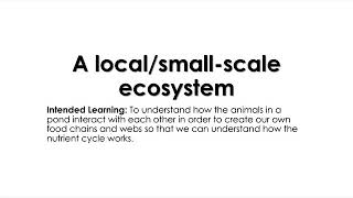 L2 ecosystems  small amp large scale [upl. by Caylor71]