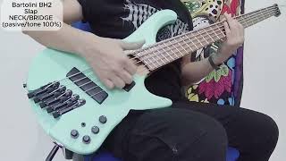 Ibanez EHB 1005MS  Bartolini BH2 VS Nordstrand Big Split 5 Pickup comparison NO TALKING [upl. by Seyer]