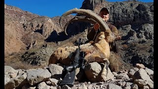 Bezoar Ibex Hunting Attila amp Turkish Frontier Outdoor Adventure Co [upl. by Ressan988]