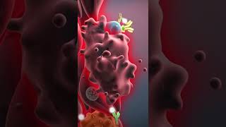 Difference between osteoarthritis and rheumatoid arthritis in hindi  Horizon Hospital [upl. by Lindeberg]