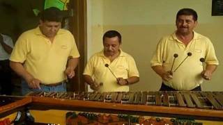 Marimba Usula Merengue en Cofradía Cortes Honduras [upl. by Anitsrhc]