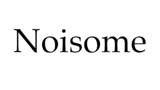 How to Pronounce Noisome [upl. by Hadden]