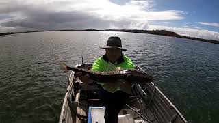 FLATHEAD FISHING THE PASSAGE 14TH JULY 2023 [upl. by Aeila]