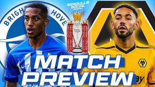 MATCH PREVIEW Wolves vs Brighton [upl. by Zenitram18]