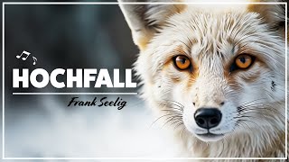 Frank Seelig  Hochfall Soul Funk [upl. by Blossom478]