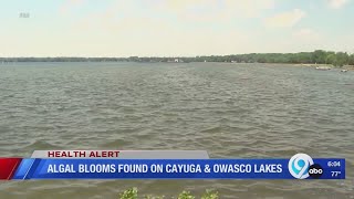 Algal blooms found on Cayuga and Owasco Lakes [upl. by Orella]