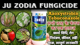 Ju Zodia fungicide  Azoxistrobin  Tebuconazole  Zodia fungicide use in hindi [upl. by Airalav]