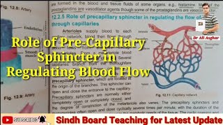 Role of PreCapillary Sphincter in Maintaining Blood flow MDCAT Biology [upl. by Gwenora]