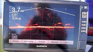 Petit teste de mon Garmin Echomap Plus 92SV avec sonde Livescope [upl. by Vilhelmina]