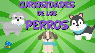 Curiosidades de los Perros  Videos Educativos para Niños [upl. by Arikahs]