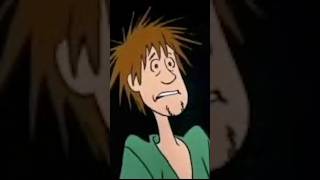 Zoinks Shaggy’s reaction to my sketches scoobydoo funny [upl. by Yznyl]