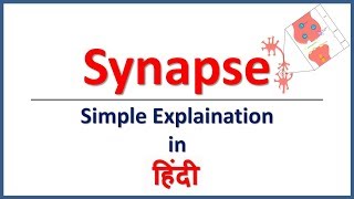 Synapse amp Its Types Simple explaination in Hindi  Bhushan Science [upl. by Llenahs990]