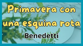 DESCUBRE ➡️ Primavera con una esquina rota Un CLÁSICO 📕 Reedición [upl. by Inaluiak]