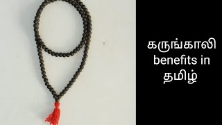 karungali benefits in தமிழ்  கருங்காலி பயன்கள் தமிழ் [upl. by Costa]