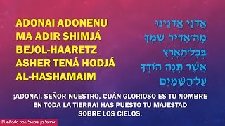 Midor Ledor  Adonai Adoneinu  אדוני אדונינו [upl. by Linet266]