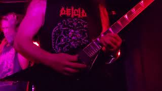 Decrepit Birth live in Toronto August 16 2023 [upl. by Bora]