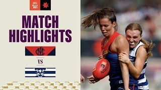 Melbourne v Geelong Highlights  2023 NAB AFLW Finals [upl. by Zosi720]