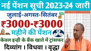 New Pension list 202324 realised  जुलाईसितंबर महीने की ₹3000 पेंशन इन्हें के खाते में ट्रांसफर [upl. by Delahk]