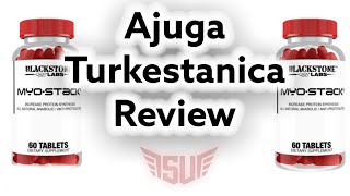 Turkestanica turkesterone Blackstone labs Myostack Review [upl. by Tenenbaum510]