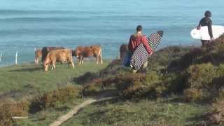 Surfeando en el Flysch [upl. by Tikna]