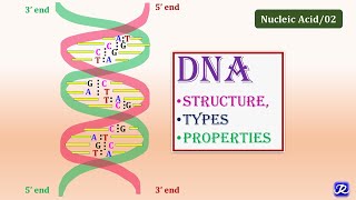 DruglikenessPhysicochemical propertiesPharmacokineticsToxicity drug property MajidAli2020 [upl. by Karia]