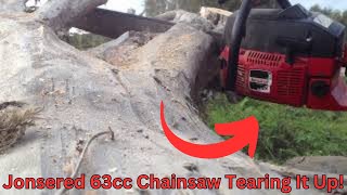 Old Jonsered 63cc Chainsaw tearing through some driftwood 26quot bar 73 Oregon chain [upl. by Wylma]