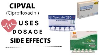 cipval 500 mg uses in urducipval ciprofloxacin ciprofloxacin 500mg uses Dosage and side effects [upl. by Lezley]